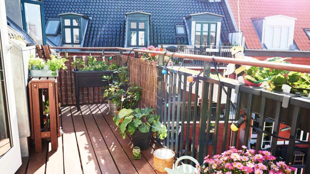 עיצוב גינה במרפסת