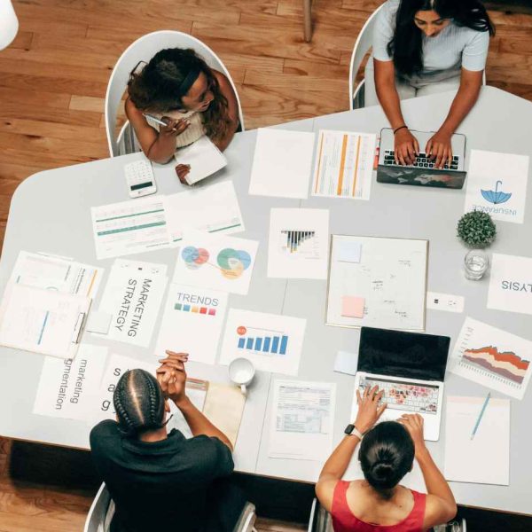 Organic SEO Company2