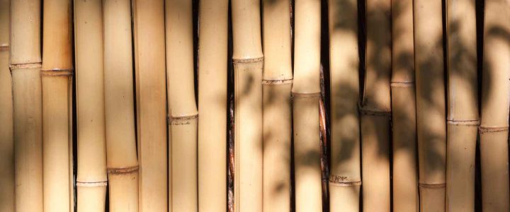 רהיטי במבוק2